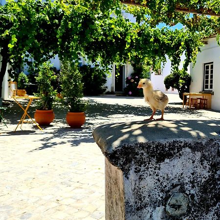 Oryza Guest House& Suites Coimbra Zewnętrze zdjęcie