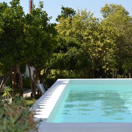 Oryza Guest House& Suites Coimbra Zewnętrze zdjęcie