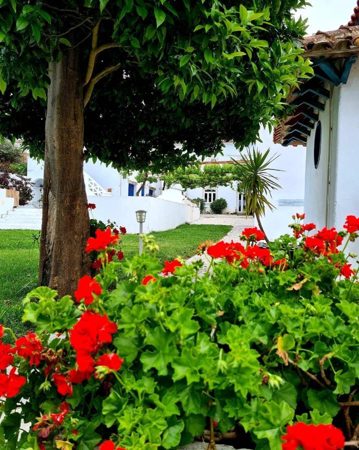Oryza Guest House& Suites Coimbra Zewnętrze zdjęcie
