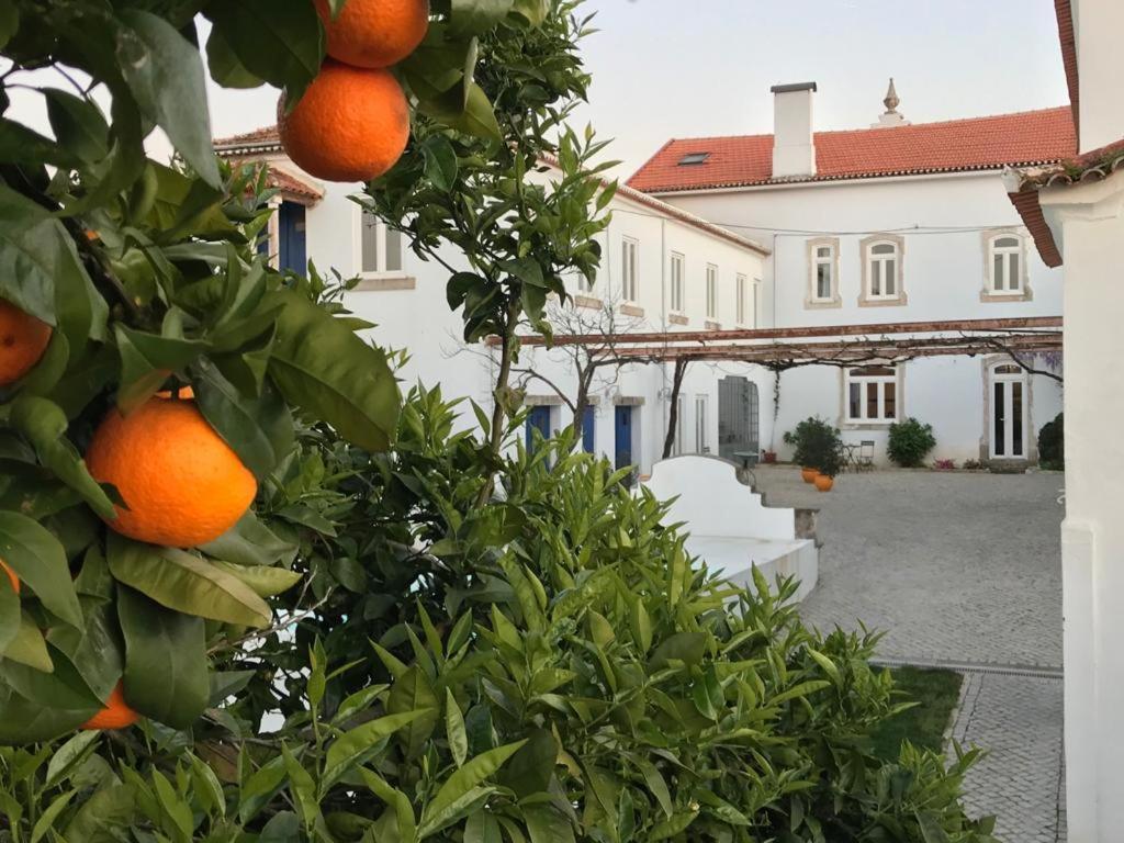 Oryza Guest House& Suites Coimbra Zewnętrze zdjęcie
