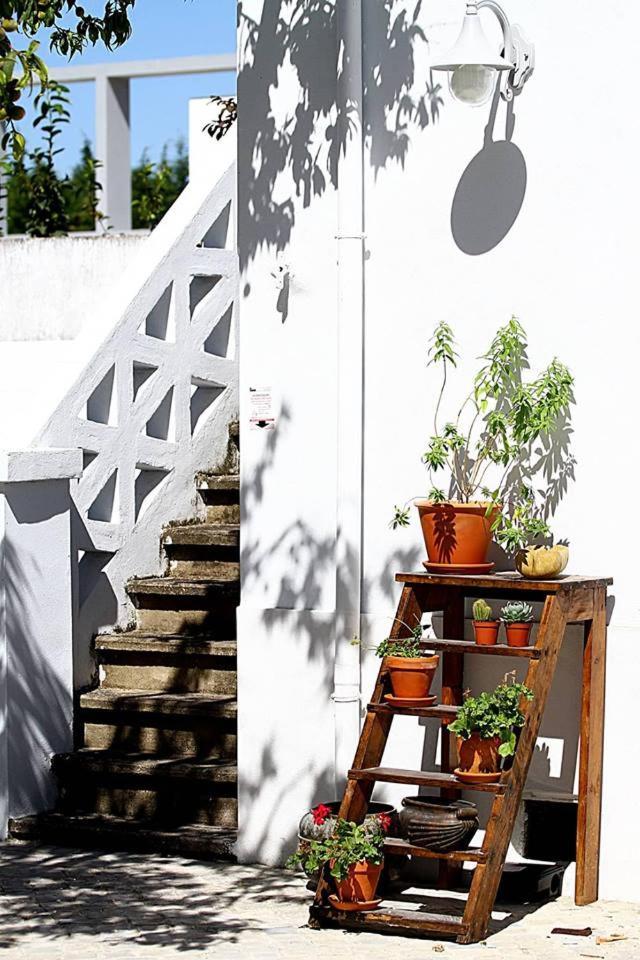Oryza Guest House& Suites Coimbra Zewnętrze zdjęcie