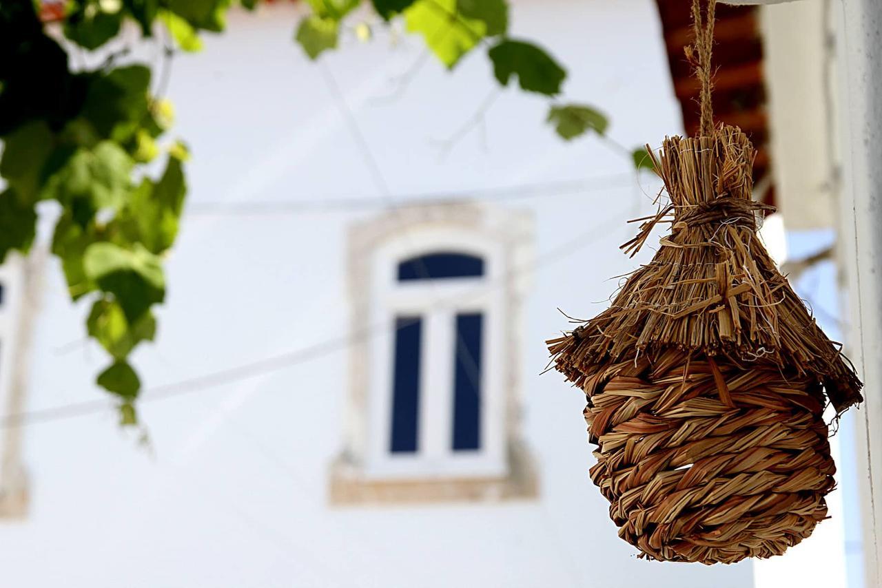 Oryza Guest House& Suites Coimbra Zewnętrze zdjęcie